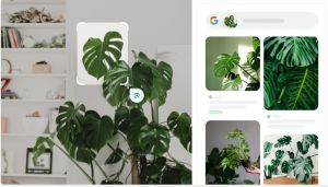 下载和安装谷歌浏览器Chrome